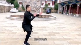 詠春拳 男子散打 兩強(qiáng)相遇詠者勝