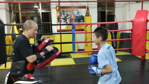 上詠春拳課后打靶訓練