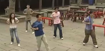 詠春拳教程哪下災(zāi)