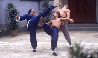 詠春拳在 中國(guó)功夫 排行老幾