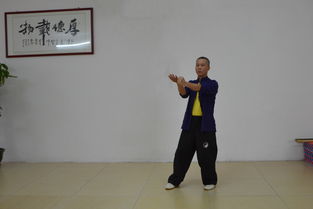 怎樣學習詠春拳東莞詠春拳梁康撰寫