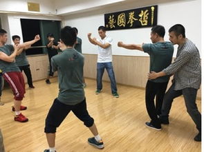 山東哲拳國(guó)藝詠春拳學(xué)怎么樣 hebnews.cn