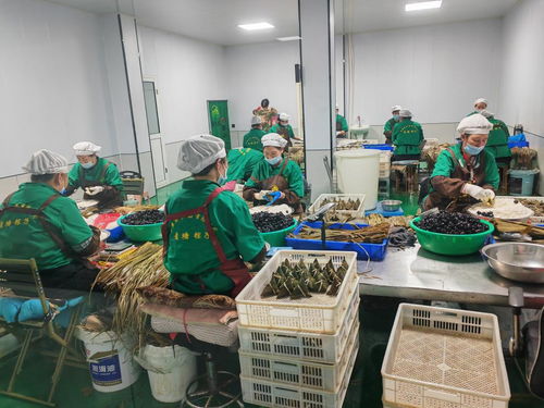 鄉村行 看振興 一顆粽子打開的鄉村振興之路