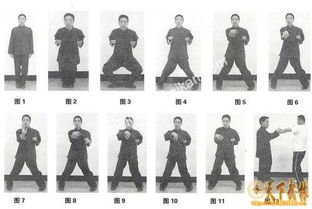 詠春拳小念頭 圈手 的形成