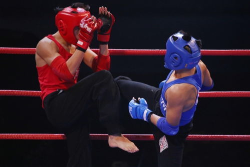 詠春擂 梁贊杯 2017鶴山市國際詠春拳邀請 香港商報