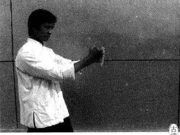 詠春拳寸勁發力訓練