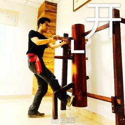 詠春拳暑假班開班啦