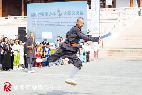 全球170余名 武林高手 云集 首屆世界南少林詠春拳大賽總決賽開幕