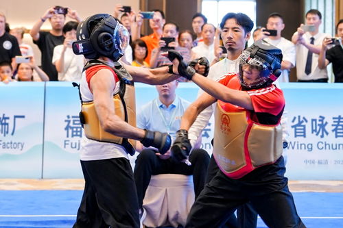 武林 爭(zhēng)霸,決勝詠春 首屆世界南少林詠春拳大賽決出36名項(xiàng)目冠軍