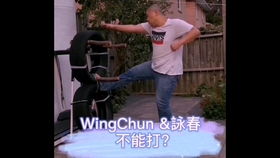 詠春拳實戰招式組合