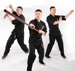 武漢詠春拳培訓(xùn)學(xué)費(fèi) 課程安排 武漢四海詠春拳館 培訓(xùn)幫