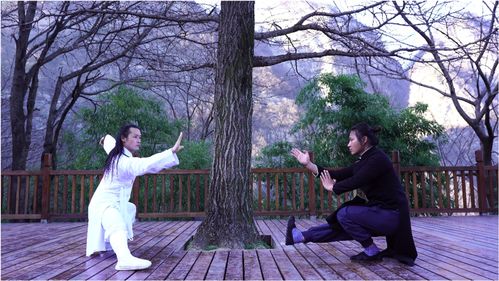 詠春拳vs太極拳,聽說葉問蹲這個動作,很難,道長來挑戰