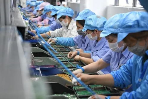 李嘉誠到越南投資,越南人卻在日本 偷豬 資本和夢想誰贏了