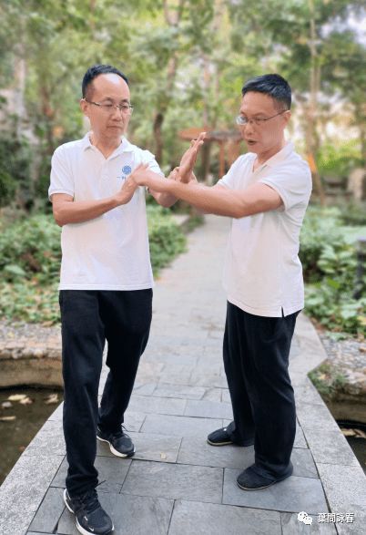 一個詠春的視頻,讓你大開眼界 葉問