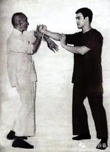 為什么現在那么多人練習詠春拳