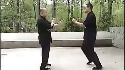 詠春拳 - 播單 - 優(yōu)酷視頻