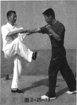 詠春拳頂尖高手必修