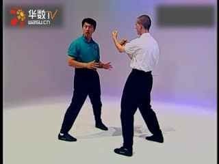 葉問宗師一脈詠春拳體系教學SiuNimTao_8--華數(shù)TV