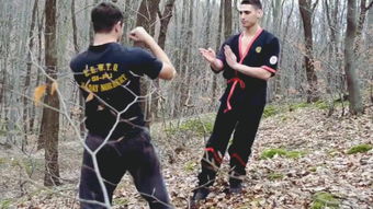 詠春拳 實戰 –