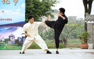 境內外 武林高手 齊聚江門,現場太精彩了
