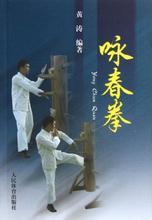 【詠春拳書籍】最新最全詠春拳書籍 產品參考信息