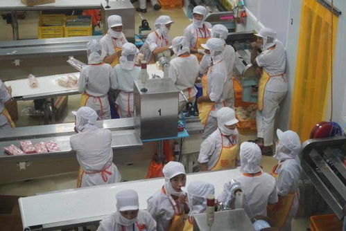 越南一現(xiàn)代化食品廠,還用人海戰(zhàn)術(shù),不過做出的榴蓮餅真好吃