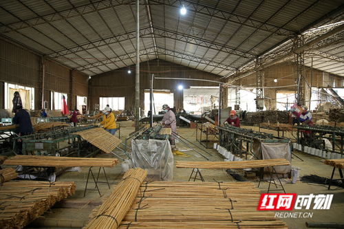 組圖丨小竹子撬動大產業