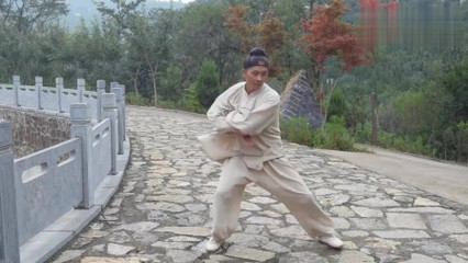 葉準示范詠春拳