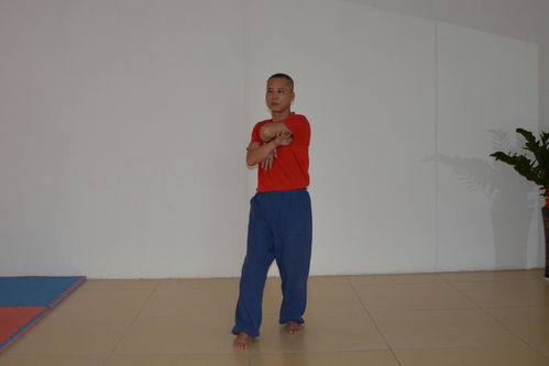 詠春拳向內看東莞詠春拳梁康撰寫