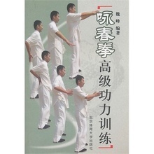 【魏峰詠春拳】最新最全魏峰詠春拳 產品參考信息