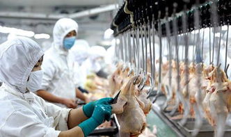 赤峰市紅山區食品集中加工園 一廠一店一院落