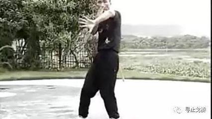 詠春只有立拳,沒有平拳?關于詠春拳的幾個誤解