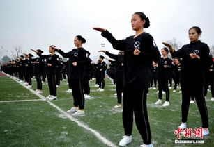 成都萬人齊打詠春拳獲吉尼斯世界紀錄