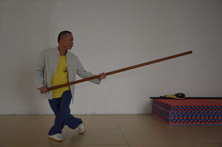 南棍的特點東莞梁康詠春拳館撰寫