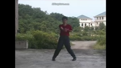 郭偉湛詠春拳標旨