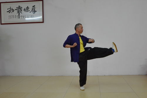 怎樣學習詠春拳東莞詠春拳梁康撰寫