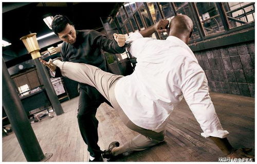 詠春拳被葉問 李小龍發揚光大,其實還有套偏身詠春拳,更為厲害