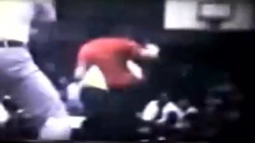 詠春拳實戰精華