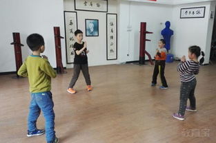 鄭州競技 武術培訓價格 鄭州鄭州精武會 教育寶