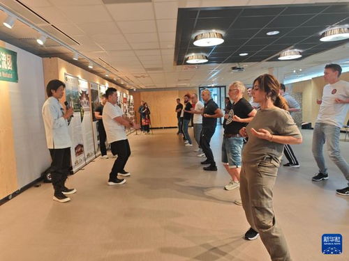 通訊 詠春拳連接中荷武術愛好者