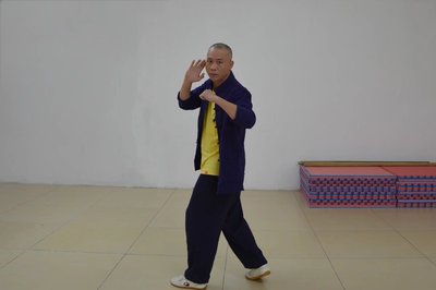 詠春拳多樣化態勢東莞詠春拳梁康撰寫