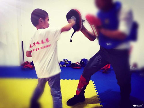 南昌青山湖區(qū)金域名都武術(shù)詠春拳段位考試 南昌武術(shù)