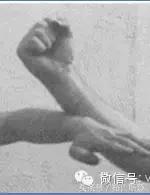 國(guó)術(shù) 詠春拳基本拳式 圖解教學(xué)