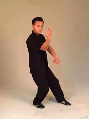 陳潤(rùn):亦師亦友的詠春拳教練_聚詠