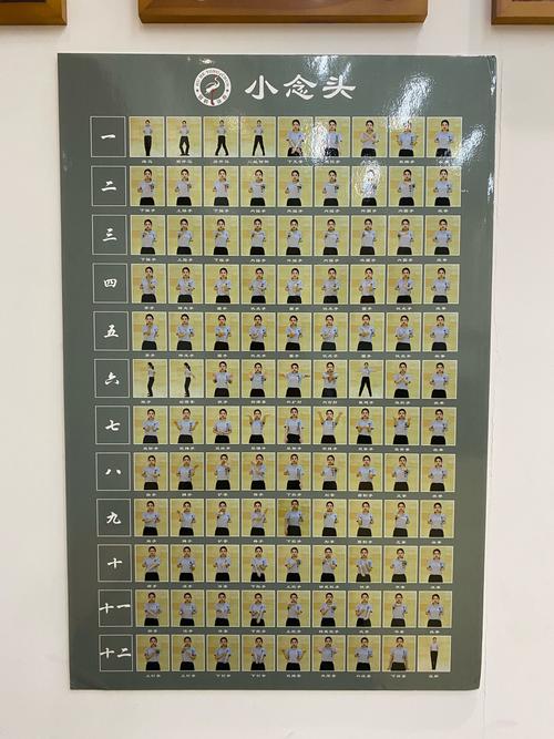 詠春拳,更適合中國(guó)寶寶體質(zhì)的武術(shù)