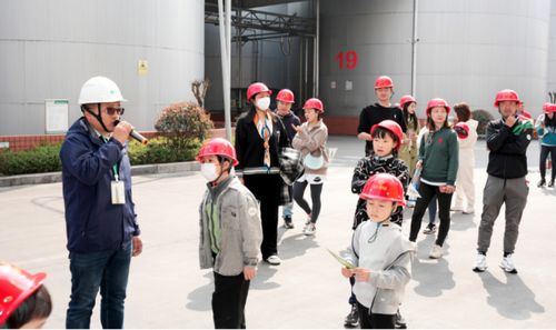 眼見為實：食品企業的零距離工廠之旅與詠春拳的啟示