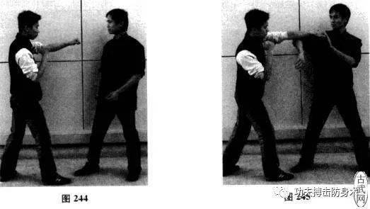 詠春拳實戰(zhàn)技法 耕手與膀手的訓練與運用