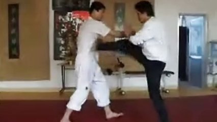 詠春拳 傳統(tǒng)武術(shù)與現(xiàn)代應(yīng)用的融合